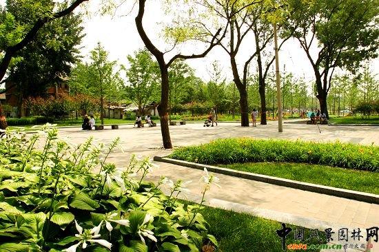 园林绿化作品鉴赏|园林工程    施工单位:北京龙腾园林绿化工程公司